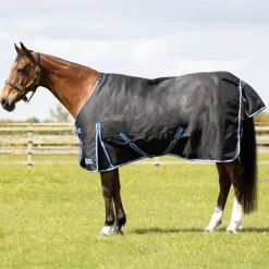 StormX Empra Extra 100g Turnout Rug