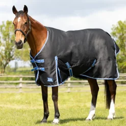 StormX Empra Extra 100g Turnout Rug