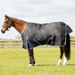 StormX Empra Extra 200g Turnout Rug with Detachable Neck