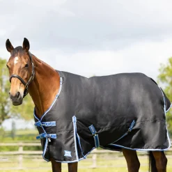 StormX Empra Extra 200g Turnout Rug with Detachable Neck