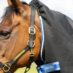 StormX Empra Extra 200g Turnout Rug with Detachable Neck