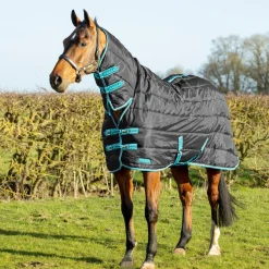 StormX Empra 100g Combi Stable Rug