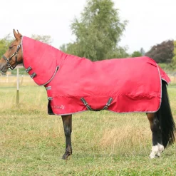 StormX Empra 300g Combi Turnout Rug