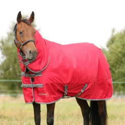 StormX Empra 300g Combi Turnout Rug