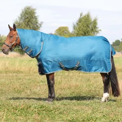 StormX Empra 50g Combi Turnout Rug