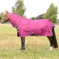 StormX Empra 200g Combi Turnout Rug
