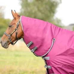 StormX Empra 200g Combi Turnout Rug