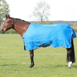 StormX Empra 0g Turnout Rug