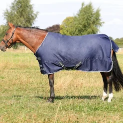 StormX Empra 100g Turnout Rug