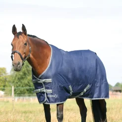 StormX Empra 100g Turnout Rug