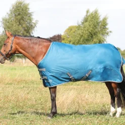 StormX Empra 50g Turnout Rug