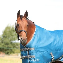 StormX Empra 50g Turnout Rug