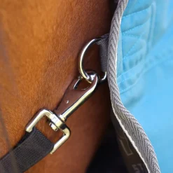 StormX Empra 50g Turnout Rug