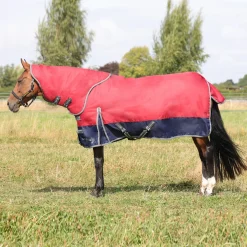 StormX Empra 200g Turnout Rug with Detachable Neck