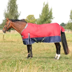 StormX Empra 200g Turnout Rug with Detachable Neck
