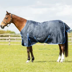 StormX Empra Reflect 0g Turnout Rug