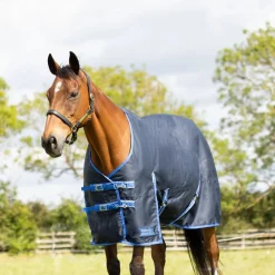 StormX Empra Reflect 0g Turnout Rug