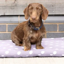 Supreme Products Dotty Fleece Dog Bed