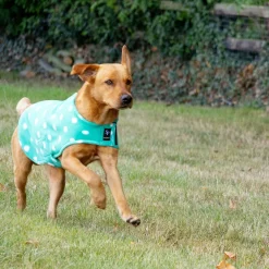 Supreme Products Dotty Fleece Dog Coat