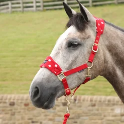 Supreme Products Dotty Fleece Head Collar & Lead Rope