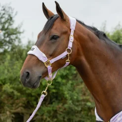 Supreme Products Dotty Fleece Head Collar & Lead Rope