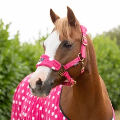 Supreme Products Dotty Fleece Head Collar & Lead Rope