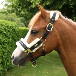 Supreme Products Royal Occasion Head Collar