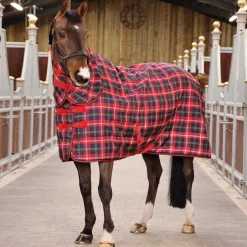 Tempest Plus 200g Stable Combo Rug