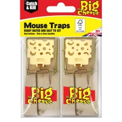 The Big Cheese Mouse Trap