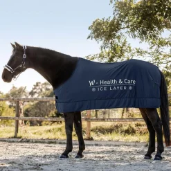 Waldhasuen W-Health & Care Ice Layer Rug