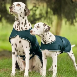 Waldhausen Dog Raincoat