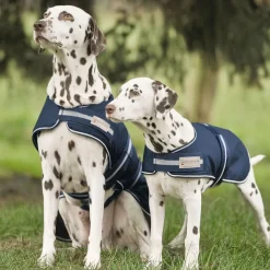 Waldhausen Dog Raincoat