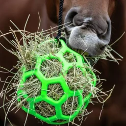 Waldhausen Hayball