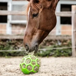 Waldhausen Hayball