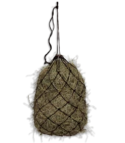 Waldhausen Haynet
