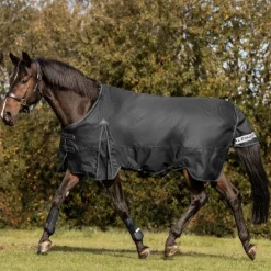 Waldhausen Arctic 200g Turnout Rug