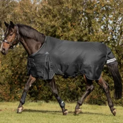 Waldhausen Arctic 100g Turnout Rug