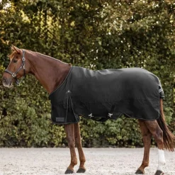 Waldhausen Arctic 300g Turnout Rug