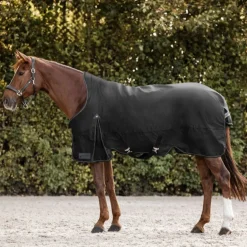 Waldhausen Arctic High Neck 100g Turnout Rug