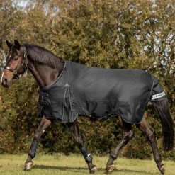 Waldhausen Arctic Light Turnout Rug