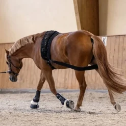 Waldhausen Body Bandage