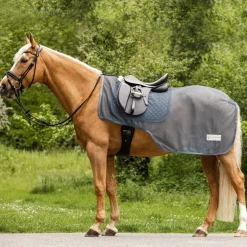 Waldhausen Comfort Fly-Exercise Sheet