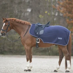 Waldhausen Economic Fleece Exercise Sheet