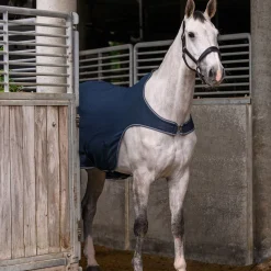 Waldhausen Economic Fleece Walking Rug
