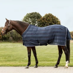 Waldhausen Economic Fly Rug