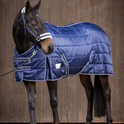 Waldhausen Economic 200g Stable Rug