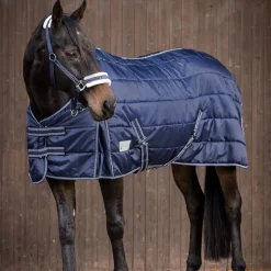 Waldhausen Economic 200g Stable Rug