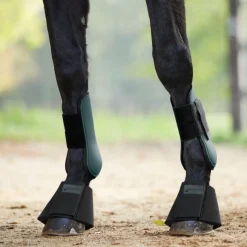 Waldhausen Esperia Tendon Boots