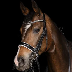 Waldhausen Evermore Weymouth Bridle