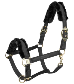 Waldhausen Exclusive Halter